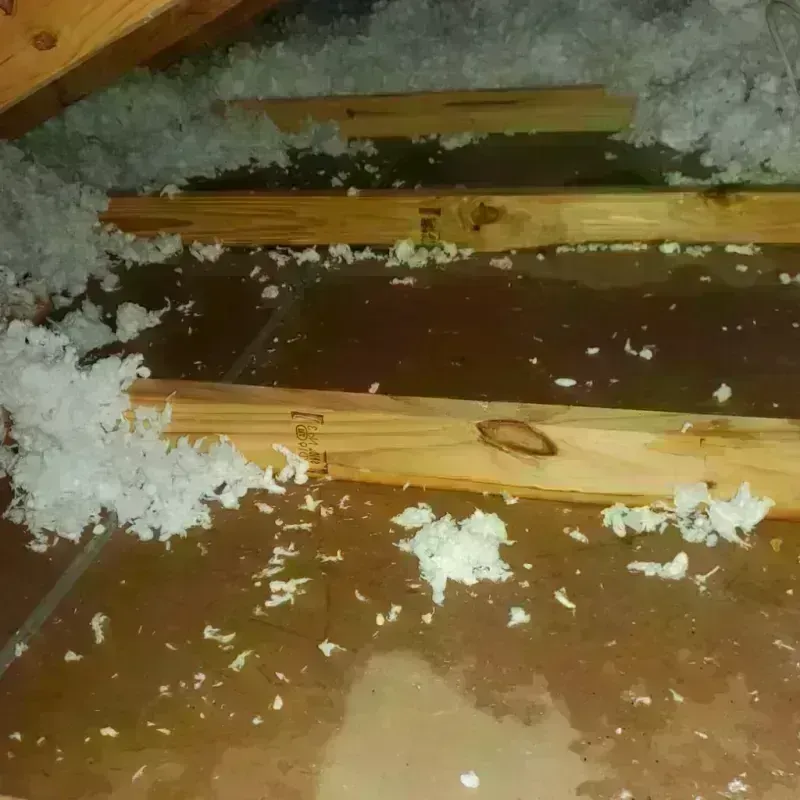 Attic Water Damage in Calhoun, KY